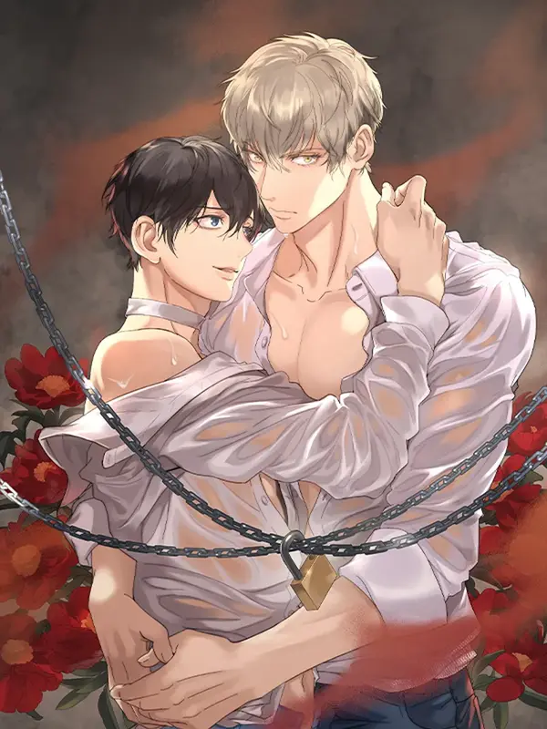 Bí quyết trở thành alpha