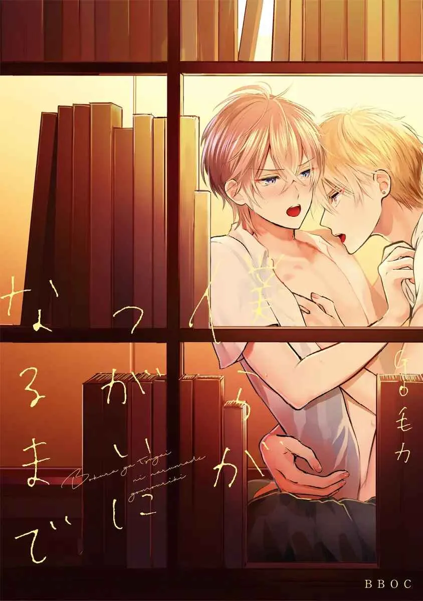 Cho đến khi chúng ta thành đôi