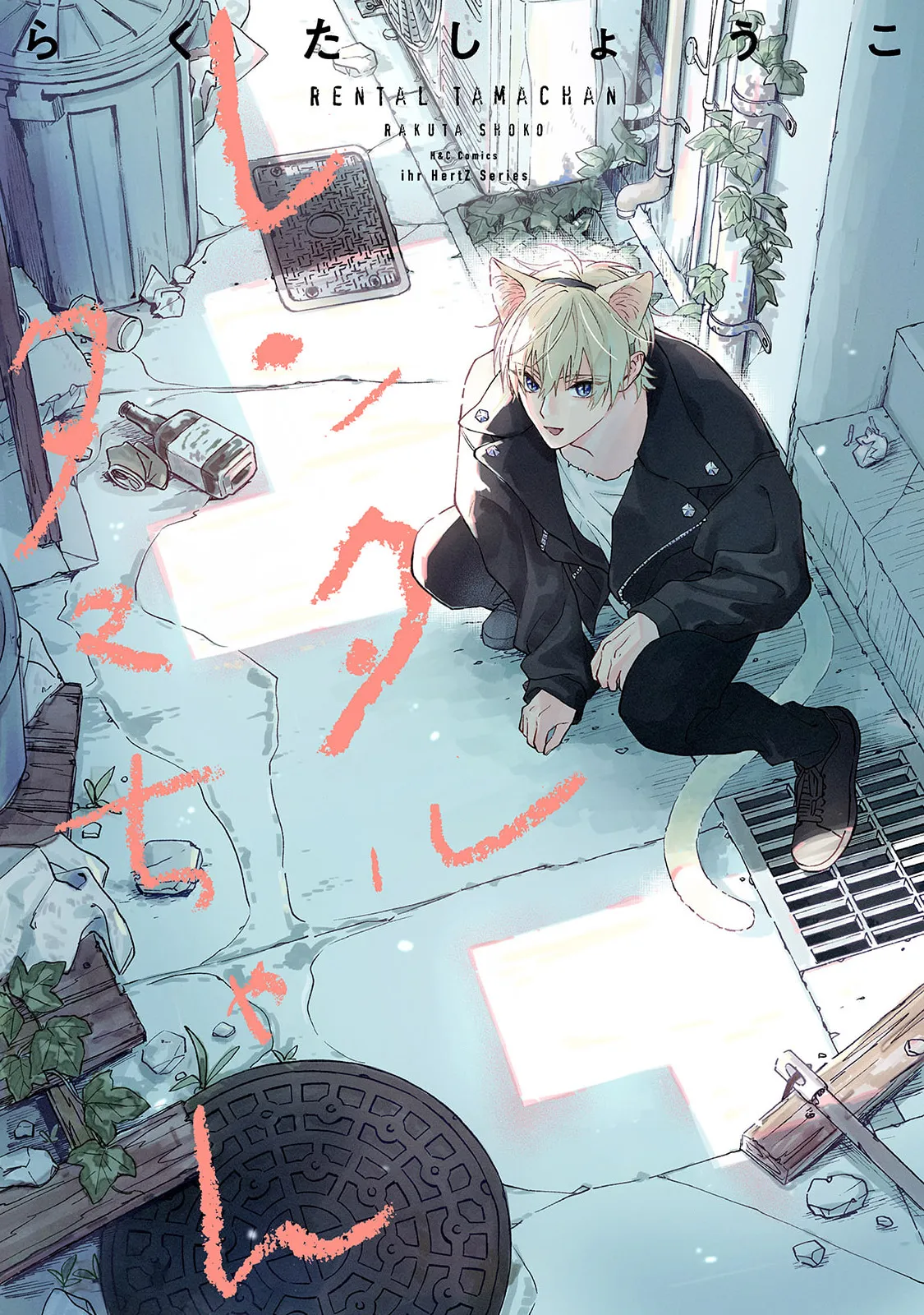 Dịch Vụ Cho Thuê Mèo