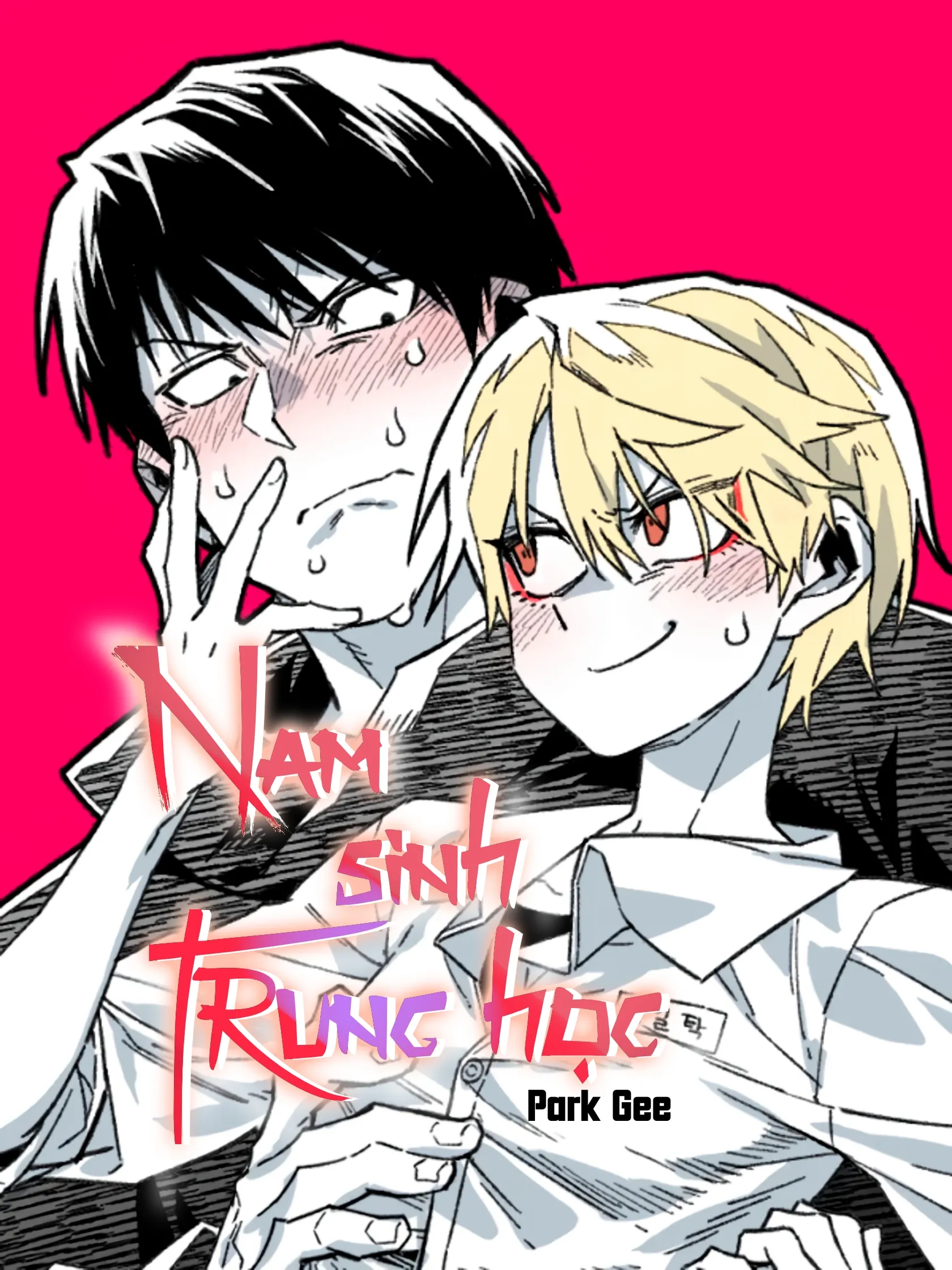 Nam Sinh Trung Học